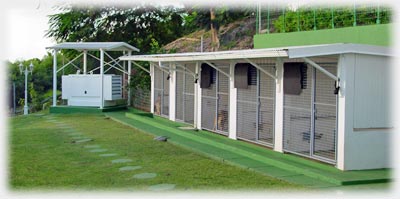 les boxes de Fleur d'Epée, élevage de bergers allemands et spitz en Guadeloupe